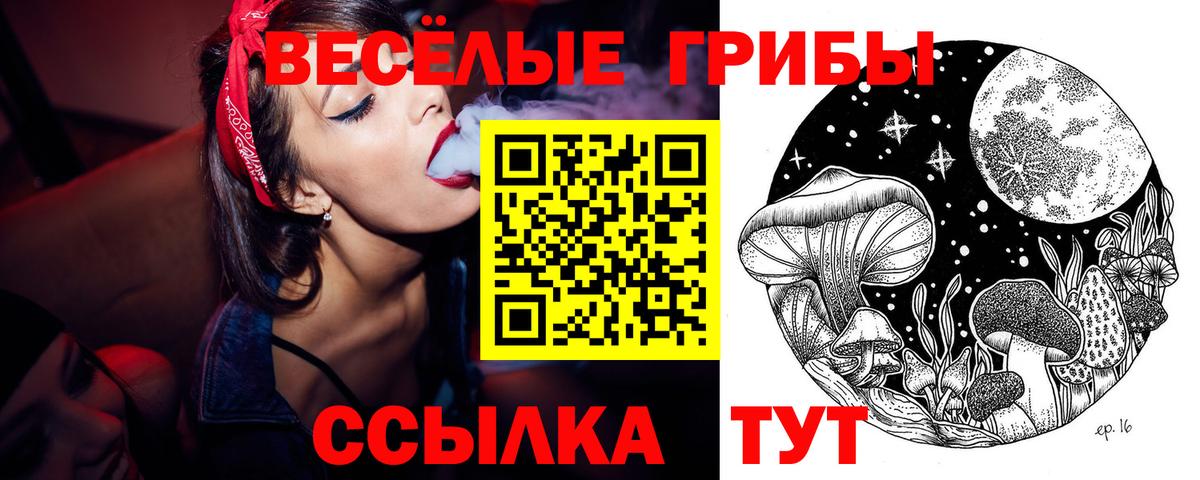 Псилоцибиновые грибы MAGIC MUSHROOMS Шебекино