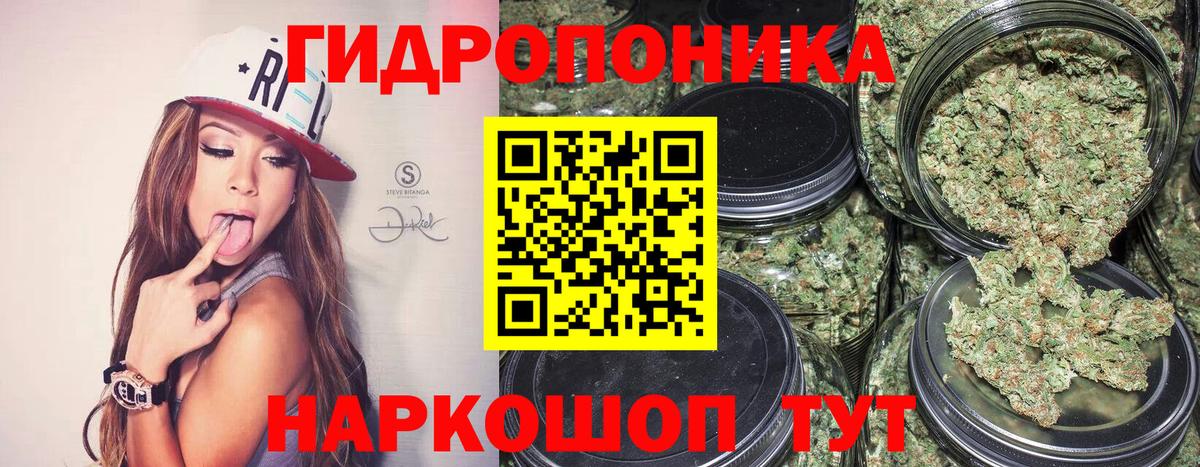 Шебекино  Шишки марихуана Bruce Banner  Бошки Шишки конопля  Шишки марихуана семена  Вход с VPN 
